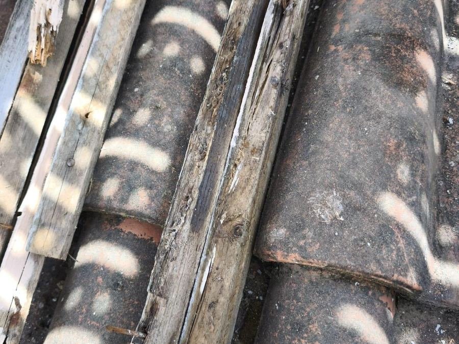 Tuiles anciennes couvertes de lichens : l'humidité s'y installe